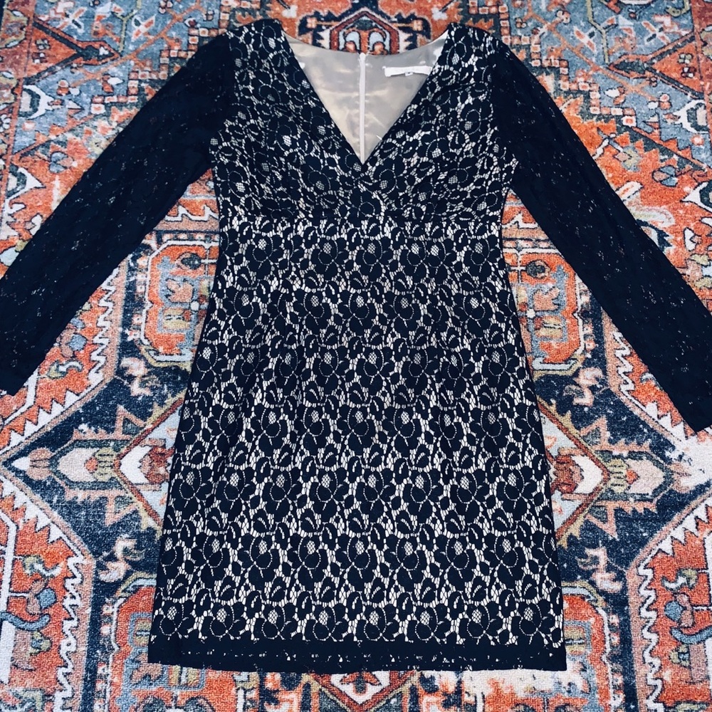 Black and Champagne Fitted Lace Dress